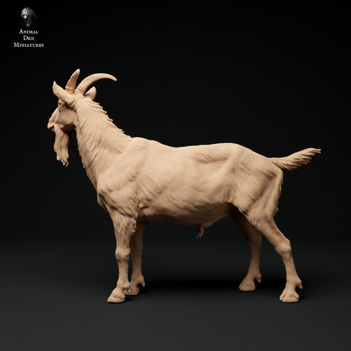 Productfoto Dier Figuur Diorama, Modelbouw: 0: Alpen Geitbok