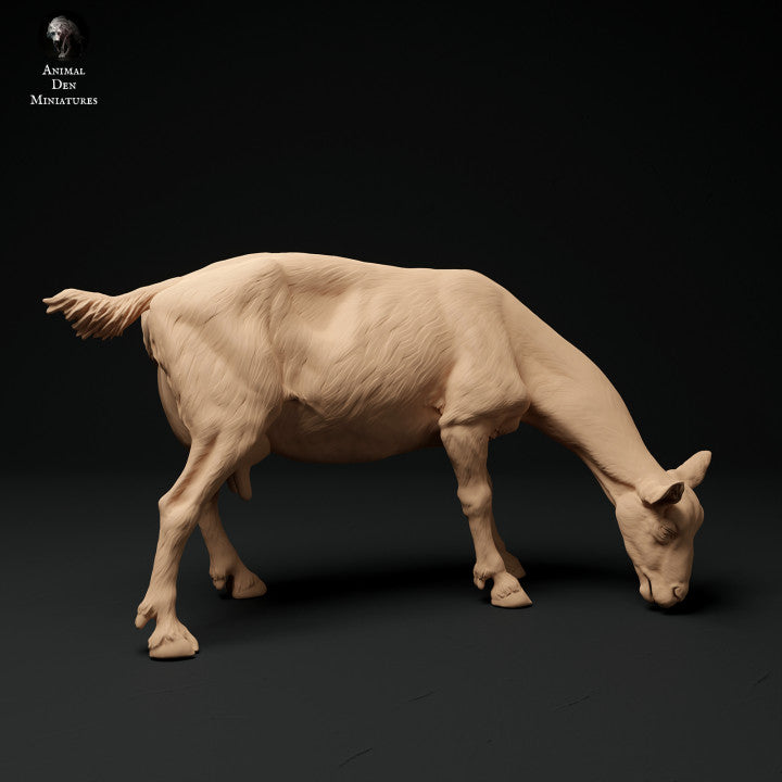 Productfoto Dier Figuur Diorama, Modelbouw: 0: Alpen Geit: grazend