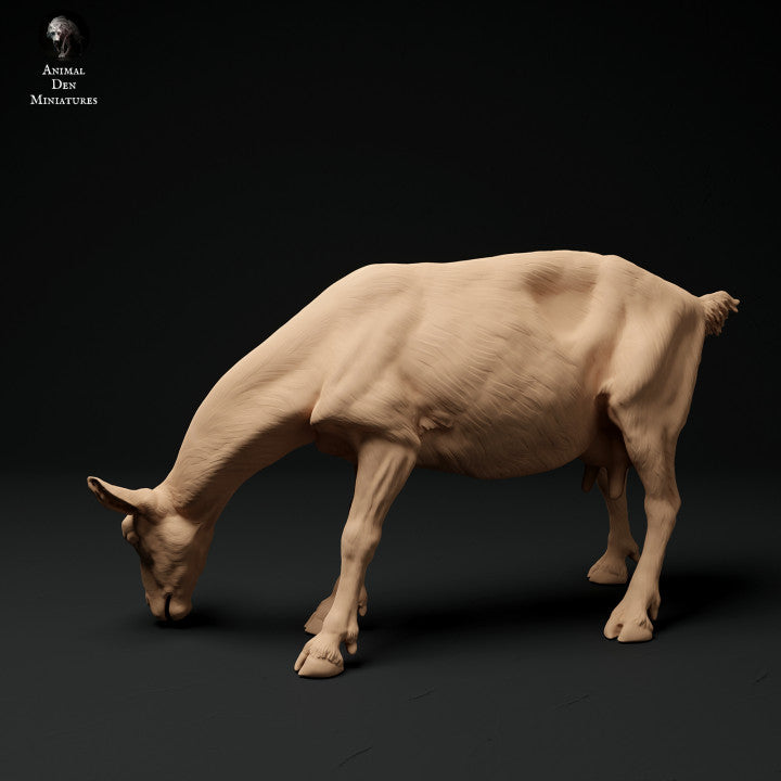Productfoto Dier Figuur Diorama, Modelbouw: 0: Alpen Geit: grazend