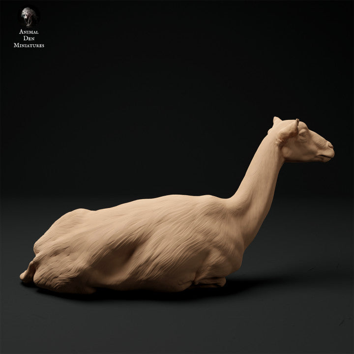 Productfoto Dier Figur Diorama, Modelbouw: 0: Alpen Geit: liggend