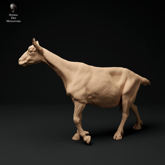 Productfoto Dier Figuur Diorama, Modelbouw: 0: Alpen Geit: lopend