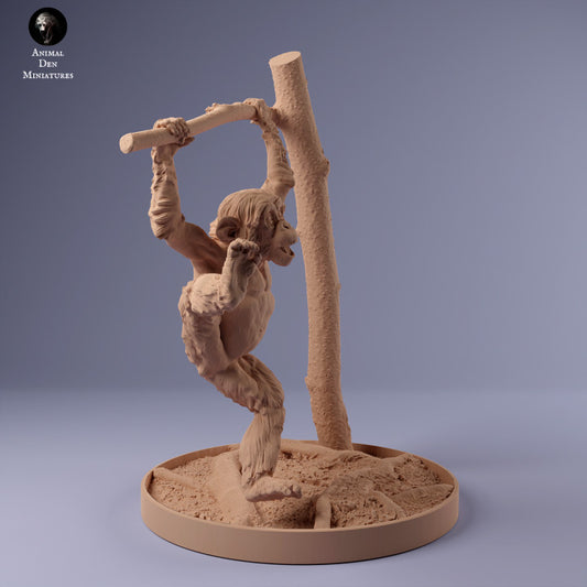 Productfoto Dierfiguur Diorama, Modelbouw: 0: Hangende jonge chimpansees aan tak: Dieren uit Afrika