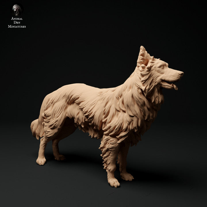 Produktfoto Tier Figur Diorama, Modellbau: 0: Haustier Figur: stehender Hund - Border Collie