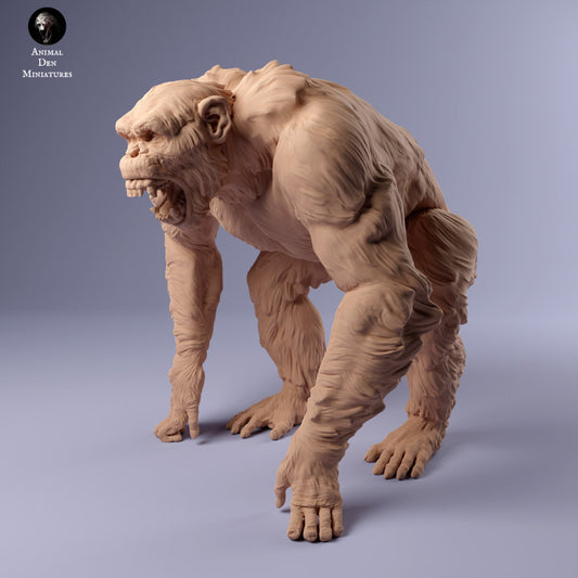 Productfoto Dier Figur Diorama, Modelbouw: 0: Agressieve Chimpansee: Dieren uit Afrika