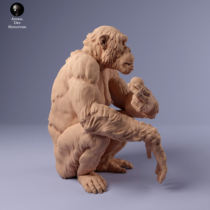 Productfoto Dierfiguur Diorama, Modelbouw: 0: Vrouwelijke chimpansee met voedsel: Dieren uit Afrika
