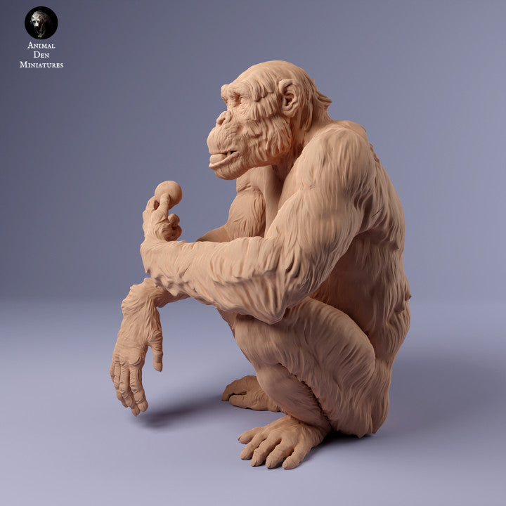 Productfoto Dierfiguur Diorama, Modelbouw: 0: Vrouwelijke chimpansee met voedsel: Dieren uit Afrika