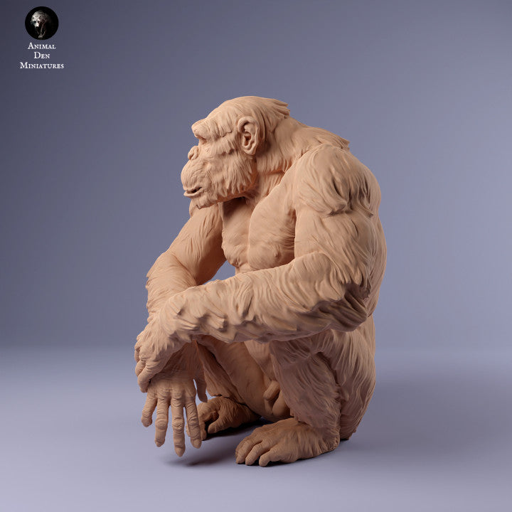 Productfoto Dier Figur Diorama, Modelbouw: 0: Zittende chimpansee: Dieren uit Afrika