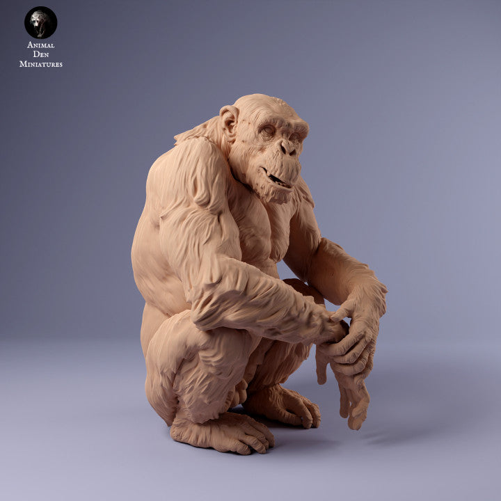 Productfoto Dier Figur Diorama, Modelbouw: 0: Zittende chimpansee: Dieren uit Afrika