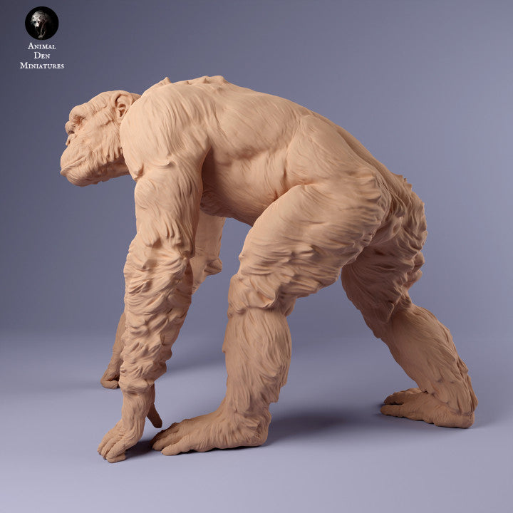 Productfoto Dier Figuur Diorama, Modelbouw: 0: Chimpansee: Dieren uit Afrika