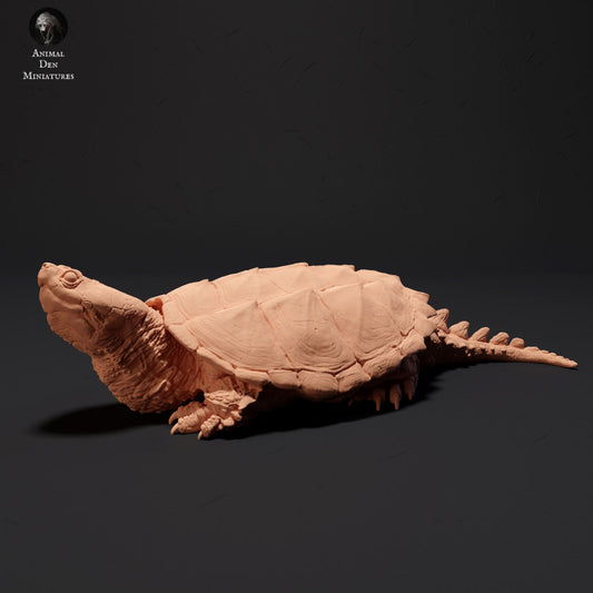 Productfoto Dier Figur Diorama, Modelbouw: 0: Schnapschildpad zonning: Dieren van het Noorden