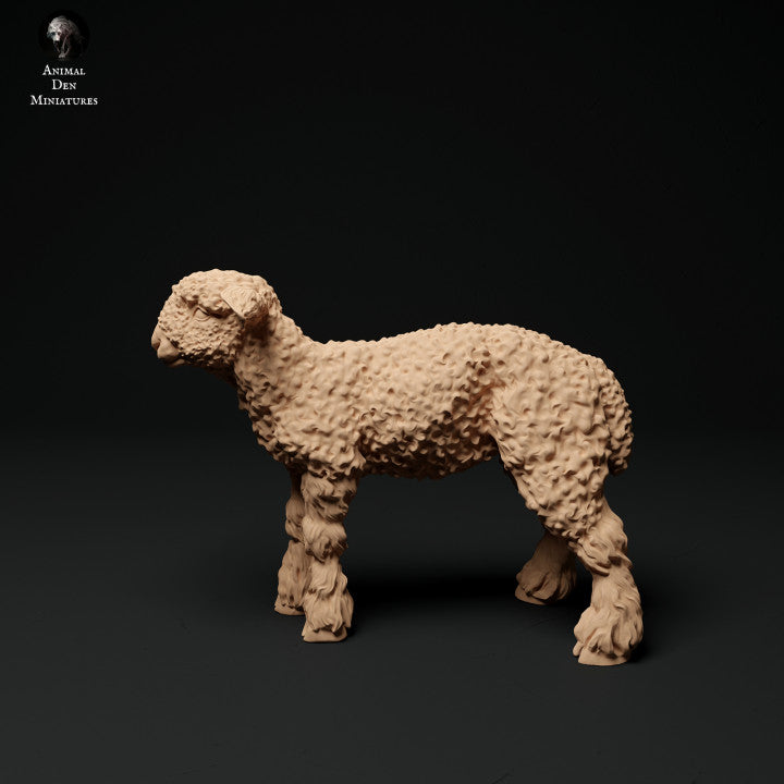 Productfoto Dierfiguur Diorama, Modelbouw: 0: Boerderij Dierfiguren: 3 Lammetjes - staand, grazend en liggend lam
