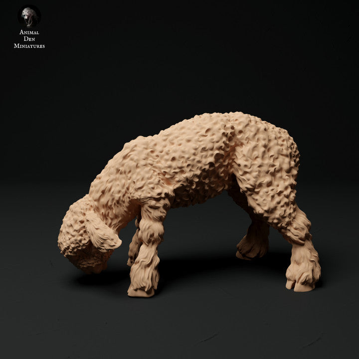 Productfoto Dierfiguur Diorama, Modelbouw: 0: Boerderij Dierfiguren: 3 Lammetjes - staand, grazend en liggend lam