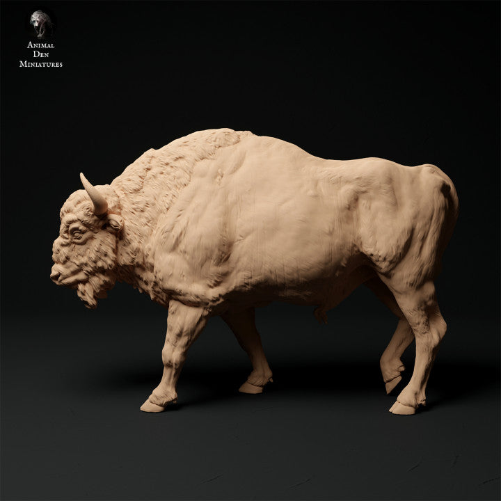 Productfoto Dier Figuur Diorama, Modelbouw: 0: Bison Stier lopend: Dieren uit Europa