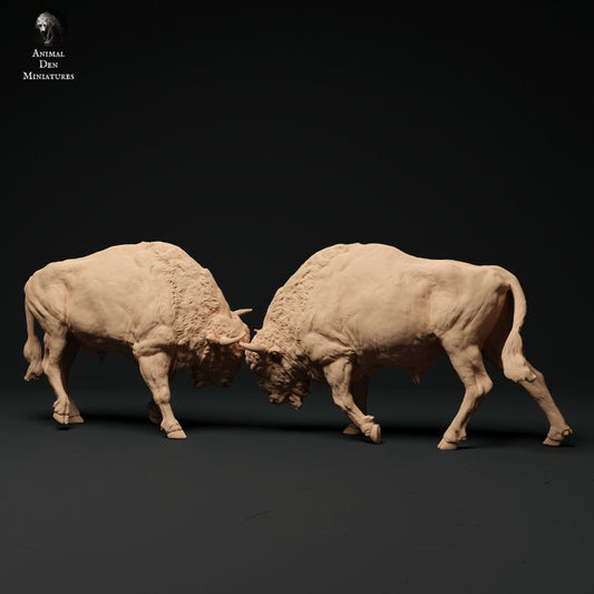 Productfoto Dier Figur Diorama, Modelbouw: 0: Bison Stier Gevecht: Dieren uit Europa