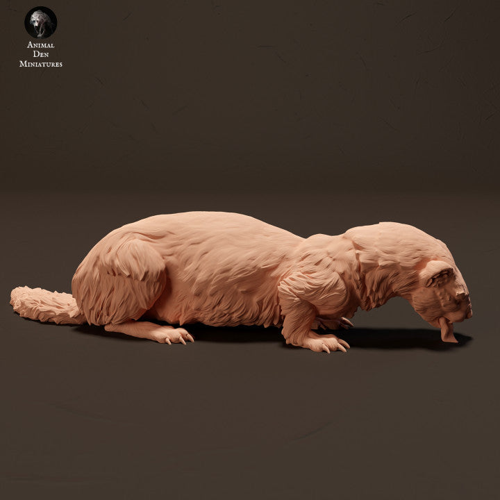 Productfoto Dier Figuur Diorama, Modelbouw: 0: Europese Fretten/ Iltis aan het eten: Dieren uit Europa
