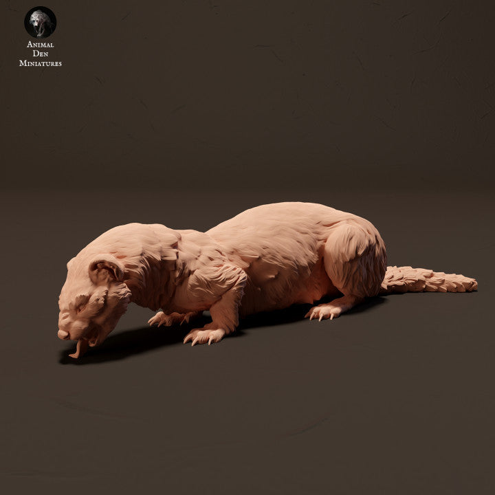 Productfoto Dier Figuur Diorama, Modelbouw: 0: Europese Fretten/ Iltis aan het eten: Dieren uit Europa
