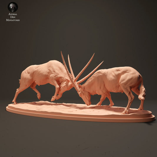 Productfoto Dierfiguur Diorama, Modelbouw: 0: Gemsbok Antilopen vechtend: Dieren uit Afrika