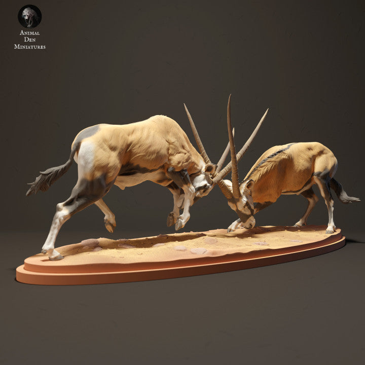 Productfoto Dierfiguur Diorama, Modelbouw: 0: Gemsbok Antilopen vechtend: Dieren uit Afrika