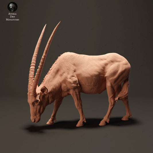 Productfoto Dier Figuur Diorama, Modelbouw: 0: Gemsbok Antilope aan het grazen: Dieren uit Afrika