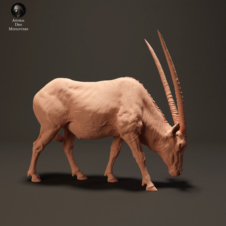 Productfoto Dier Figuur Diorama, Modelbouw: 0: Gemsbok Antilope aan het grazen: Dieren uit Afrika