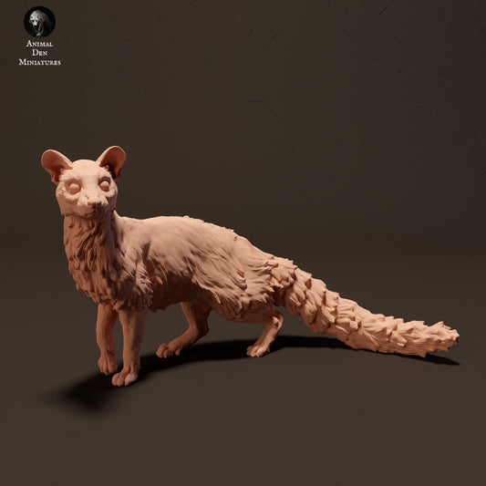 Productfoto Dier Figur Diorama, Modelbouw: 0: Ginsterkat/ Genet: Dieren uit Afrika