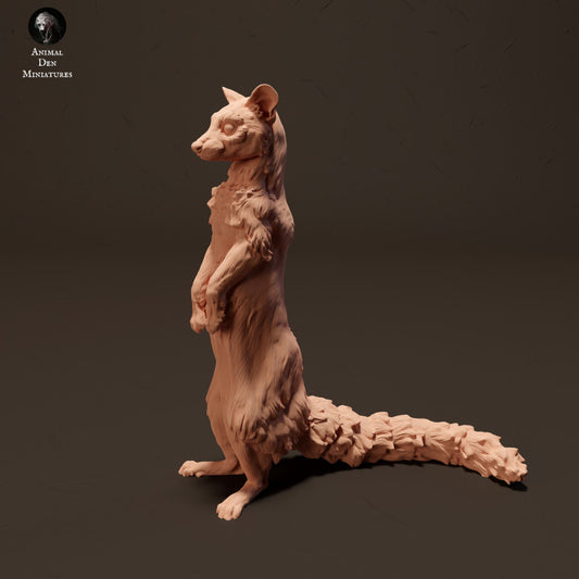 Productfoto Dier Figur Diorama, Modelbouw: 0: Ginsterkat/ Genet staand: Dieren uit Afrika