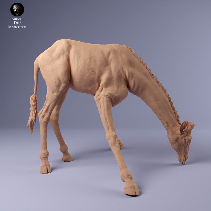 Productfoto Dier Figuur Diorama, Modelbouw: 0: Giraffe drinkend: Dieren uit Afrika