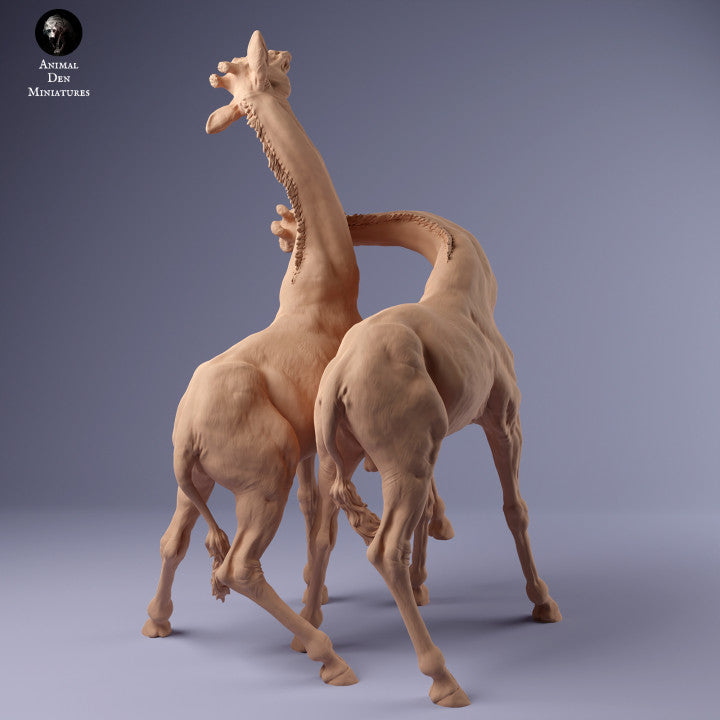 Productfoto Dier Figur Diorama, Modelbouw: 0: Twee Mannetjes Giraffen vechten: Dieren uit Afrika