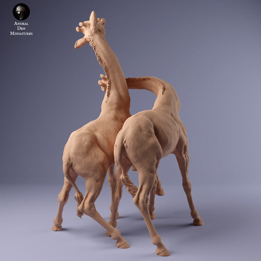 Productfoto Dier Figur Diorama, Modelbouw: 0: Twee Mannetjes Giraffen vechten: Dieren uit Afrika