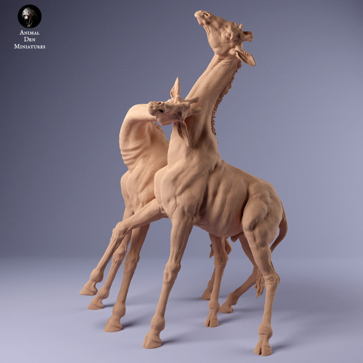 Productfoto Dier Figur Diorama, Modelbouw: 0: Twee Mannetjes Giraffen vechten: Dieren uit Afrika