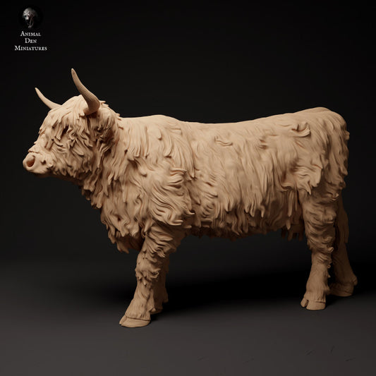 Productfoto Dier Figur Diorama, Modelbouw: 0: Schotse Hooglander: Dieren uit Noord-Europa