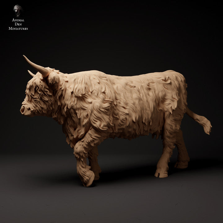 Productfoto Dier Figur Diorama, Modelbouw: 0: Schotse Hooglander lopend: Dieren uit Noord-Europa
