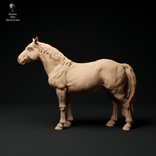 Productfoto Dier Figur Diorama, Modelbouw: 0: Konik/ Klein Wildpaard: Dieren uit Europa