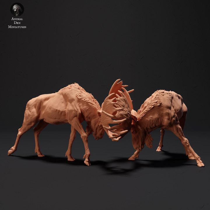 Productfoto Dier Figur Diorama, Modelbouw: 0: Machtige Elken vechten: Dieren van het Noorden