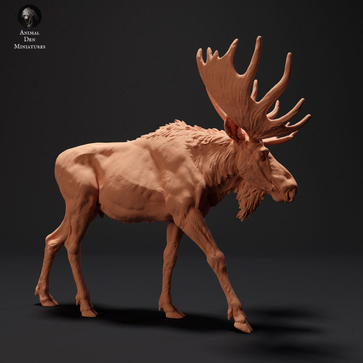 Productfoto Dierfiguur Diorama, Modelbouw: 0: Machtige Elk: Dieren van het Noorden