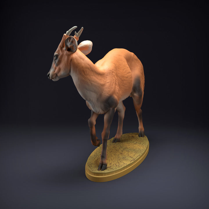 Productfoto dierenfiguur Animal Den Miniatures 3: wilddierenfiguur: muntjakhert (22_08_08)