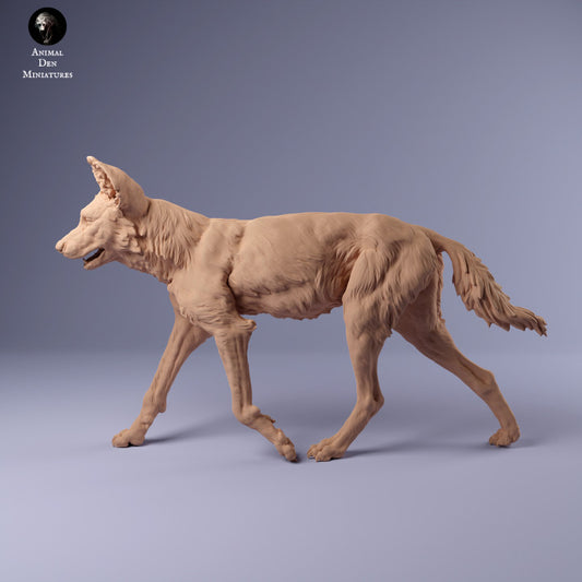Productfoto Dier Figuur Diorama, Modelbouw: 0: Afrikaanse Wilde Hond: Dieren uit Afrika