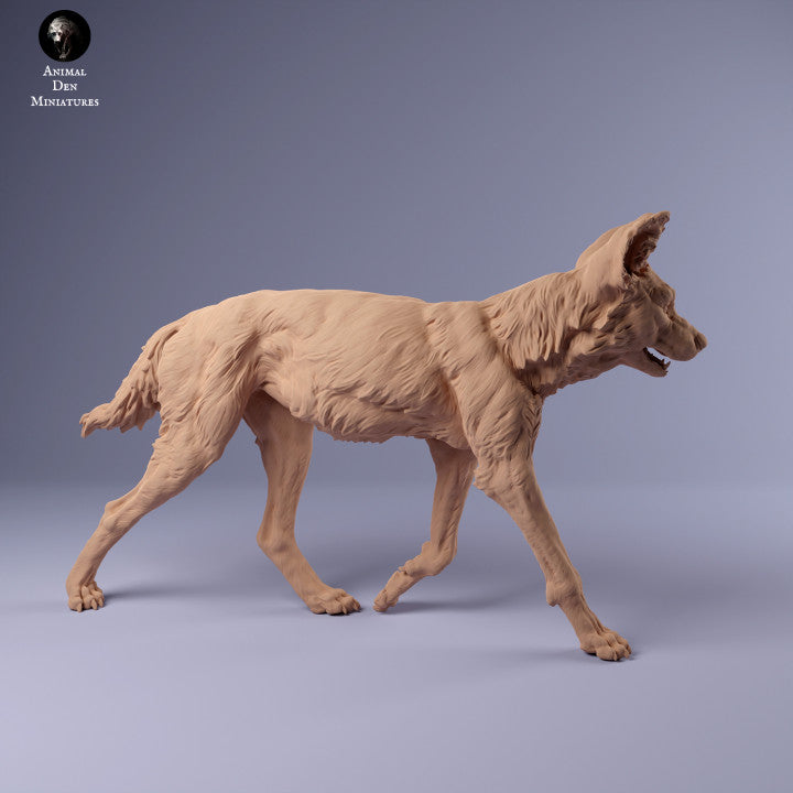 Productfoto Dier Figuur Diorama, Modelbouw: 0: Afrikaanse Wilde Hond: Dieren uit Afrika
