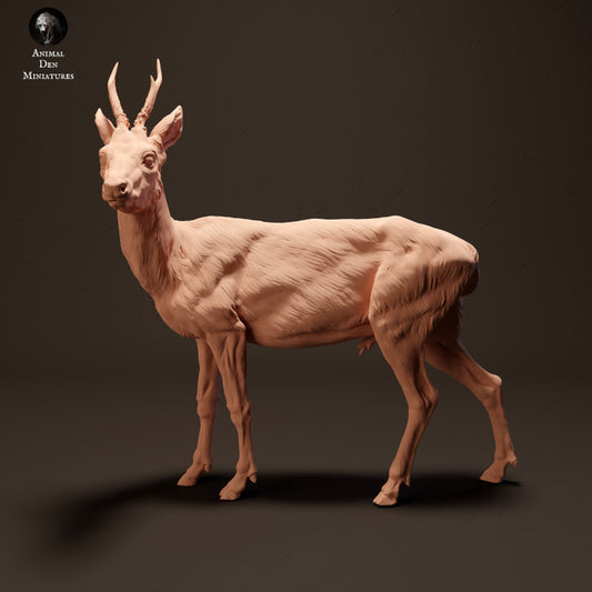 Productfoto Dier Figur Diorama, Modelbouw: 0: Europese Hert: Dieren uit Europa