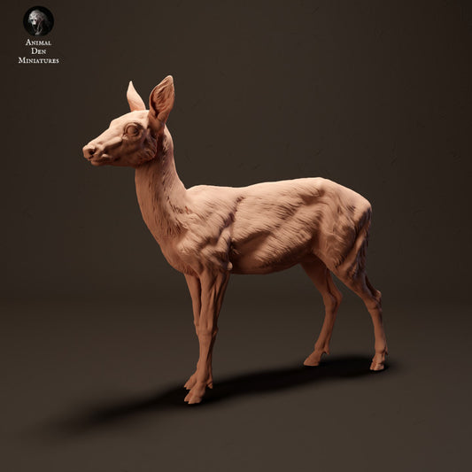 Productfoto Dier Figuur Diorama, Modelbouw: 0: Europese Ree: Dieren uit Europa