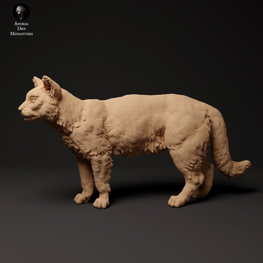 Productfoto Dier Figuur Diorama, Modelbouw: 0: Schotse Wilde Kat: Dieren uit Noord-Europa