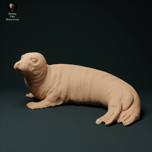 Productfoto Dier Figur Diorama, Modelbouw: 0: Zeehond: Dieren uit de zee