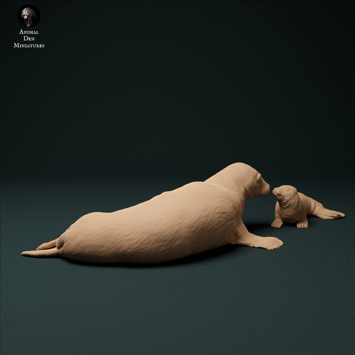 Productfoto Dierfiguur Diorama, Modelbouw: 0: Kegelrobbe met jong: Dieren uit de zee