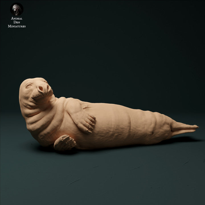 Productfoto Dierfiguur Diorama, Modelbouw: 0: Kegelrobbe Mannetje: Dieren uit de Zee