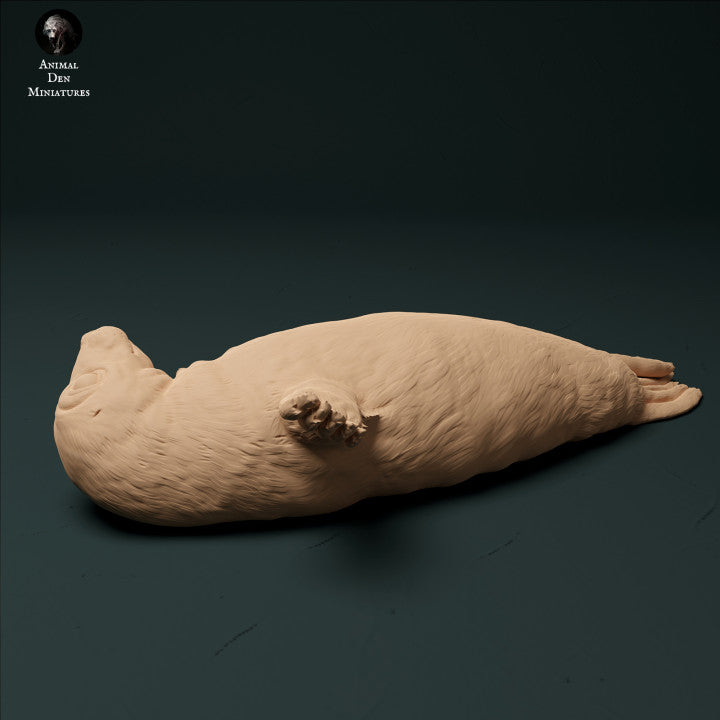 Productfoto Dierfiguur Diorama, Modelbouw: 0: Zeehond Jongen: Dieren uit de Zee