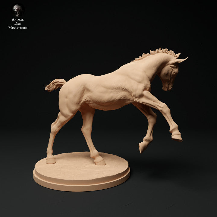 Productfoto Dierfiguur Diorama, Modelbouw: 0: Boerderij Dierfiguur: 2 Veulens - rennend en liggend paard