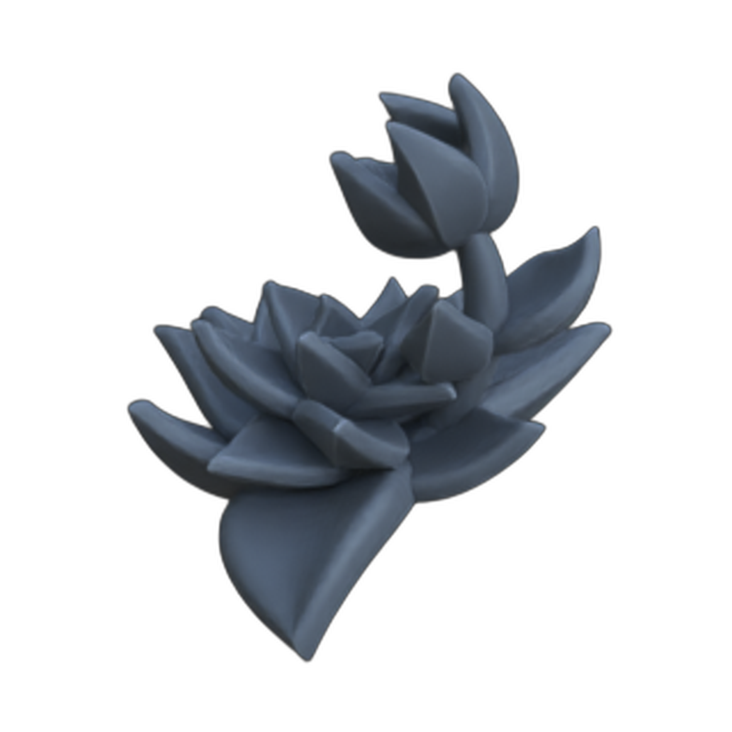 Productfoto diorama en modelbouw decoratie, accessoires: 0: Planten en gewassen: Succulenten