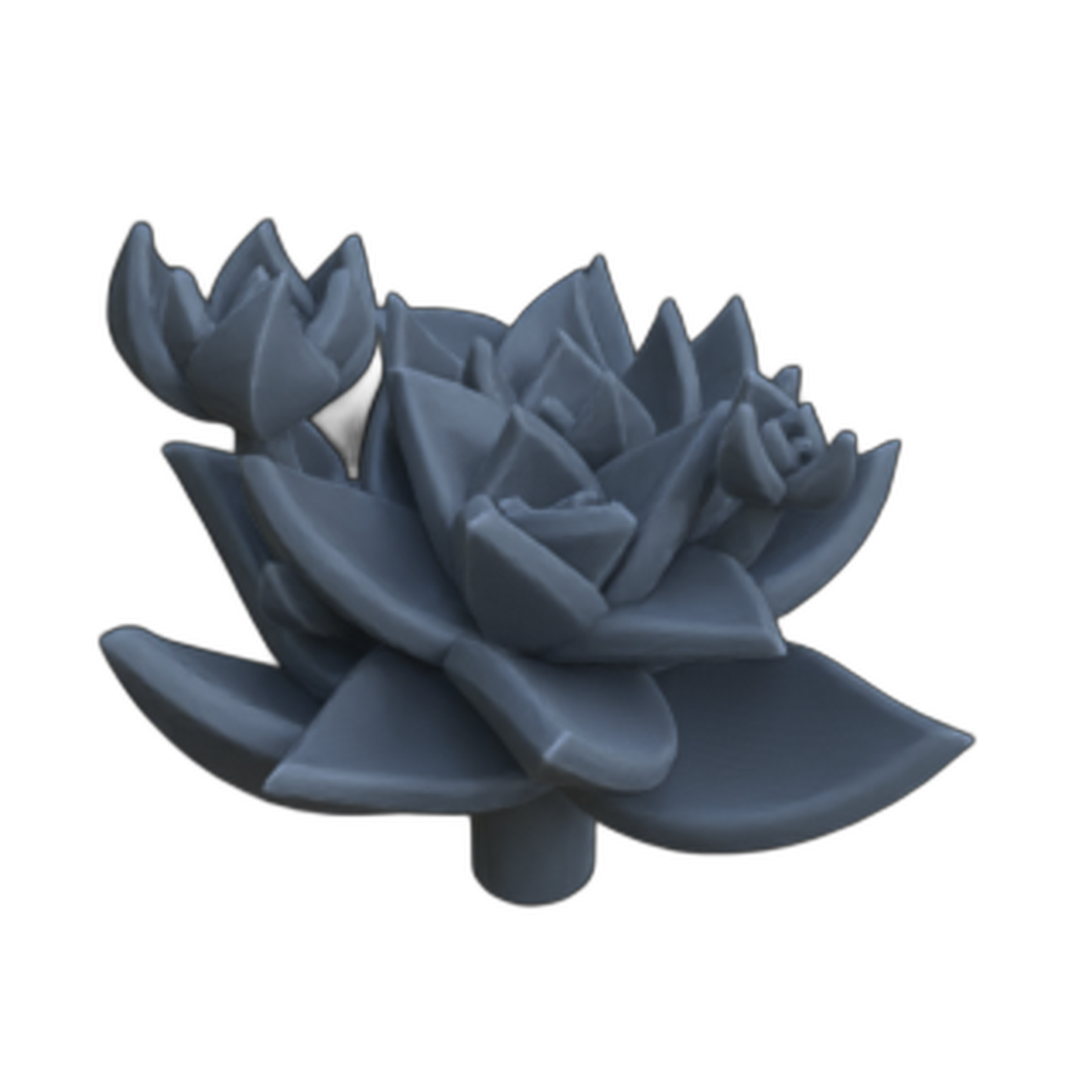 Productfoto diorama en modelbouw decoratie, accessoires: 0: Planten en gewassen: Succulenten