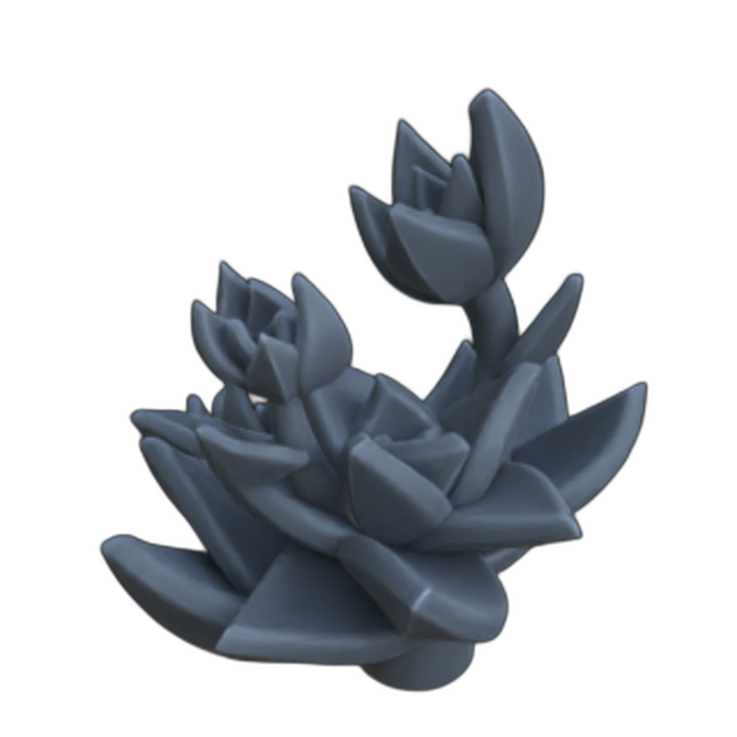 Productfoto diorama en modelbouw decoratie, accessoires: 0: Planten en gewassen: Succulenten