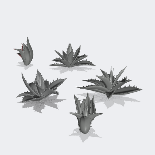 Productfoto Miniatuur Meubels, Inrichting Diorama en Modelbouw 0: Planten en Gewassen: 5 Agavenplanten